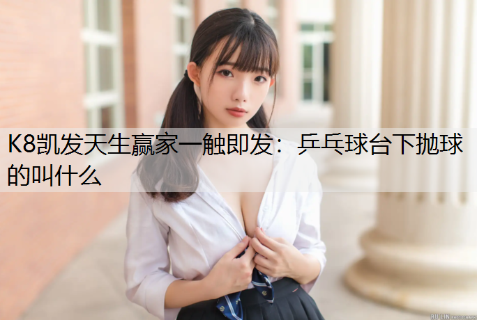 乒乓球台下抛球的叫什么